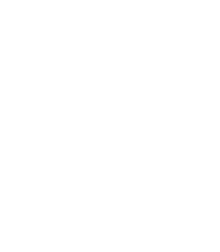 HEILVEX